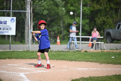 20250616-LLBB-02388.jpg