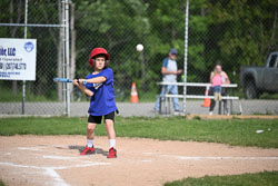 20250616-LLBB-02390.jpg