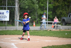 20250616-LLBB-02392.jpg