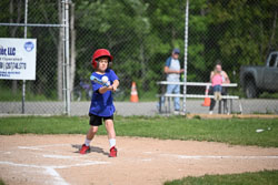 20250616-LLBB-02393.jpg