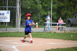 20250616-LLBB-02394.jpg
