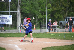 20250616-LLBB-05114.jpg