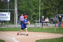 20250616-LLBB-05118.jpg