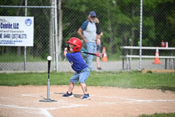 20250616-LLBB-02095.jpg