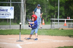 20250616-LLBB-02099.jpg
