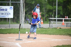 20250616-LLBB-02104.jpg