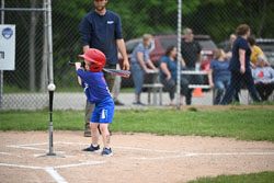 20250619-LLBB-00336.jpg