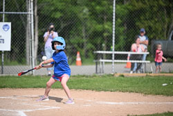 20250616-LLBB-02479.jpg