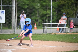 20250616-LLBB-02483.jpg