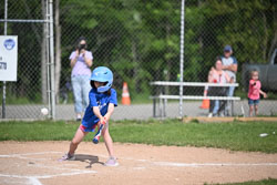 20250616-LLBB-02487.jpg