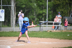 20250616-LLBB-02495.jpg
