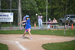 20250616-LLBB-05234.jpg