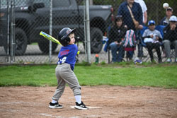 20250518-LLBB-11534.jpg
