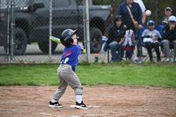 20250518-LLBB-11536.jpg