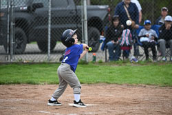 20250518-LLBB-11538.jpg