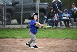 20250518-LLBB-11547.jpg