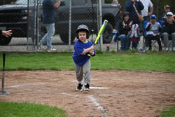 20250518-LLBB-11559.jpg