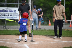 20250616-LLBB-01854.jpg
