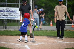 20250616-LLBB-01859.jpg