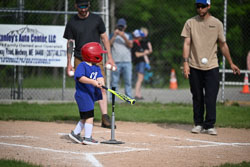 20250616-LLBB-01865.jpg