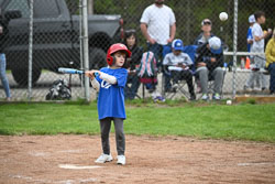 20250518-LLBB-12071.jpg