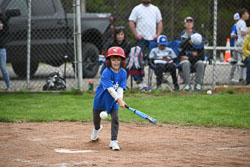 20250518-LLBB-12086.jpg