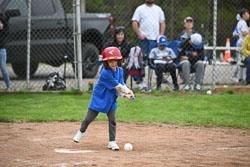 20250518-LLBB-12094.jpg