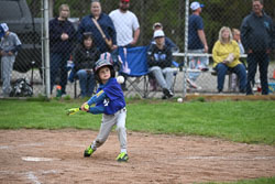 20250518-LLBB-12428.jpg