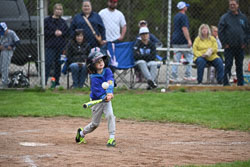 20250518-LLBB-12431.jpg