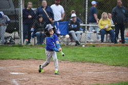 20250518-LLBB-12432.jpg