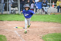 20250518-LLBB-12455.jpg