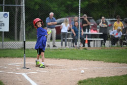 20250619-LLBB-00917.jpg