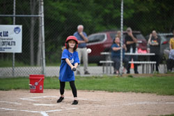 20250619-LLBB-01036.jpg