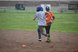 20250518-LLBB-15598.jpg