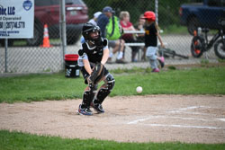 20250619-LLBB-15900.jpg