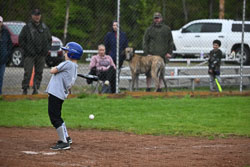 20250518-LLBB-17733.jpg