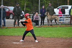 20250518-LLBB-17950.jpg