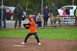 20250518-LLBB-17952.jpg