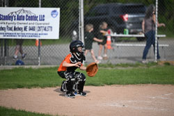 20250616-LLBB-14293.jpg