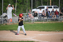 20250616-LLBB-14533.jpg