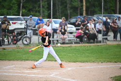 20250619-LLBB-14930.jpg