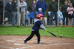 20250518-LLBB-01536.jpg