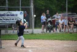 20250619-LLBB-10346.jpg