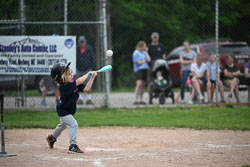 20250619-LLBB-10347.jpg