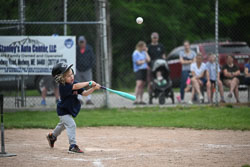 20250619-LLBB-10349.jpg
