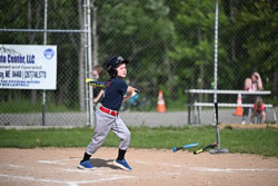 20250616-LLBB-03290.jpg