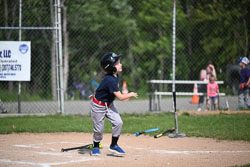 20250616-LLBB-03309.jpg
