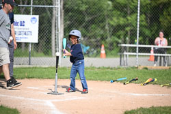 20250616-LLBB-03725.jpg