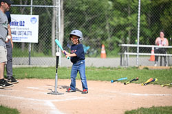 20250616-LLBB-03727.jpg