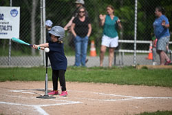 20250616-LLBB-00589.jpg